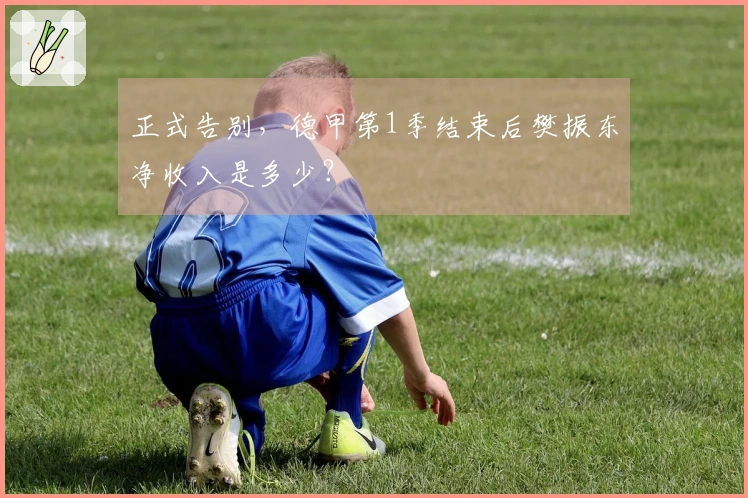正式告别，德甲第1季结束后樊振东净收入是多少？
